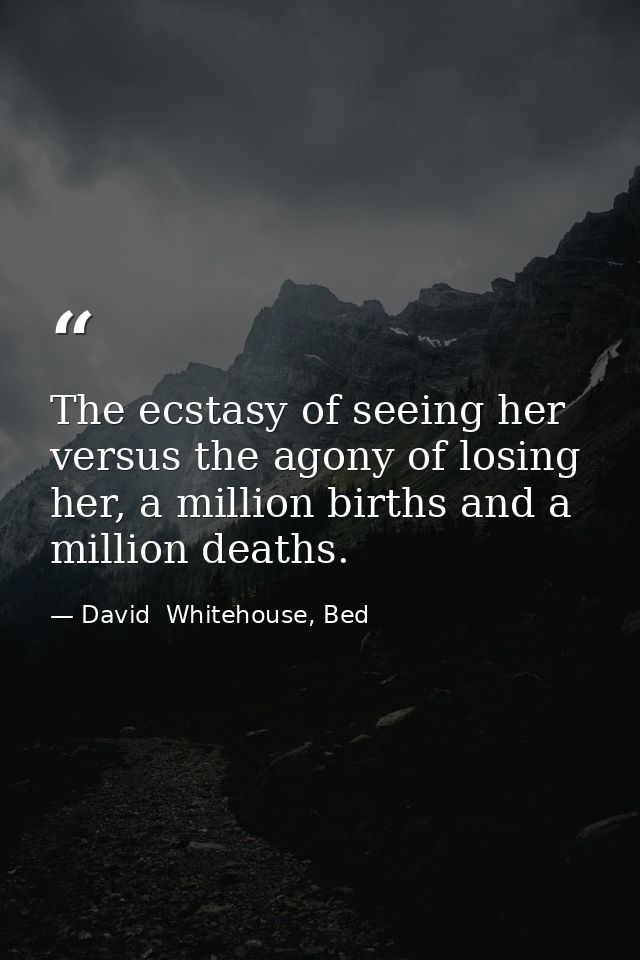 The ecstasy of seeing her versus the agony of losing her, a million births and a million deaths. — David  Whitehouse, Bed