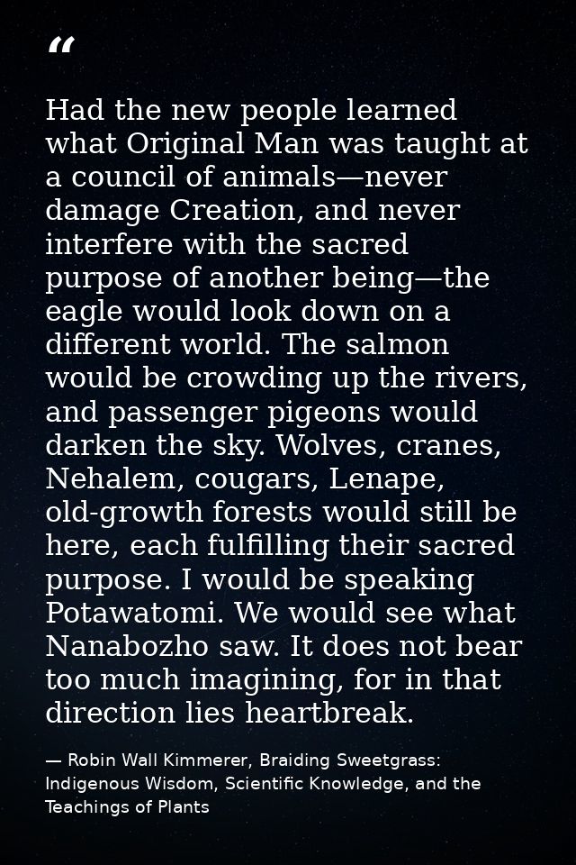 Had the new people learned what Original Man was taught at a council of animals—never damage Creation, and never interfe — Robin Wall Kimmerer, Braiding Sweetgrass: Indigenous Wisdom, Scientific Knowledge, and the Teachings of Plants