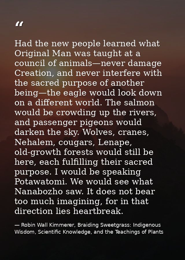 Had the new people learned what Original Man was taught at a council of animals—never damage Creation, and never interfe — Robin Wall Kimmerer, Braiding Sweetgrass: Indigenous Wisdom, Scientific Knowledge, and the Teachings of Plants