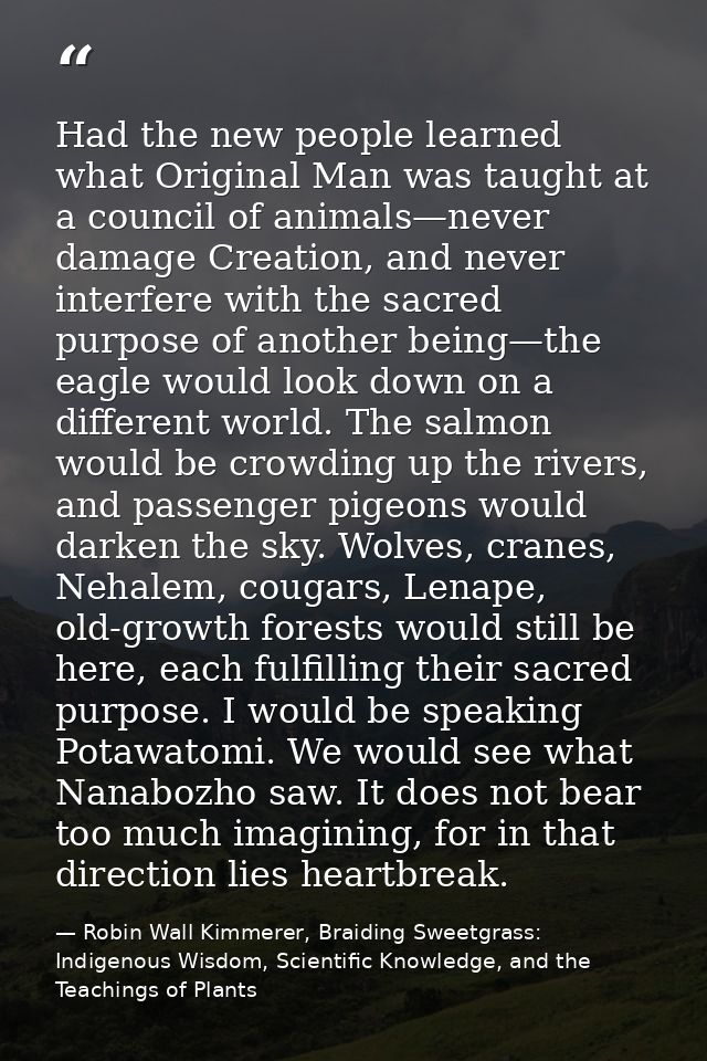 Had the new people learned what Original Man was taught at a council of animals—never damage Creation, and never interfe — Robin Wall Kimmerer, Braiding Sweetgrass: Indigenous Wisdom, Scientific Knowledge, and the Teachings of Plants