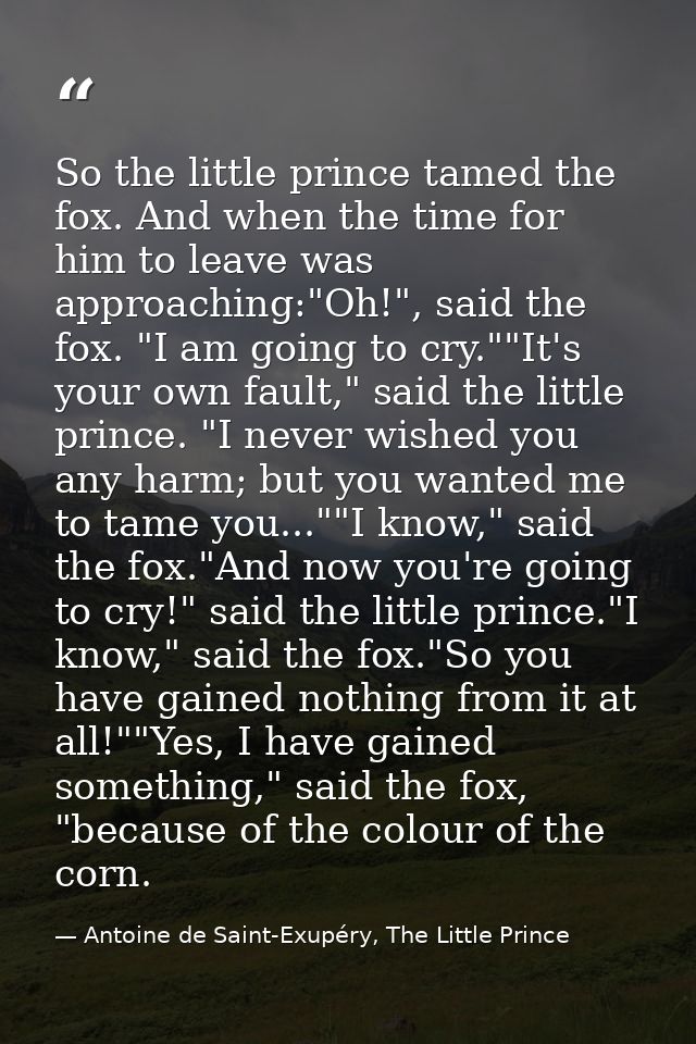 So the little prince tamed the fox. And when the time for him to leave was approaching:"Oh!", said the fox. "I am going  — Antoine de Saint-Exupéry, The Little Prince