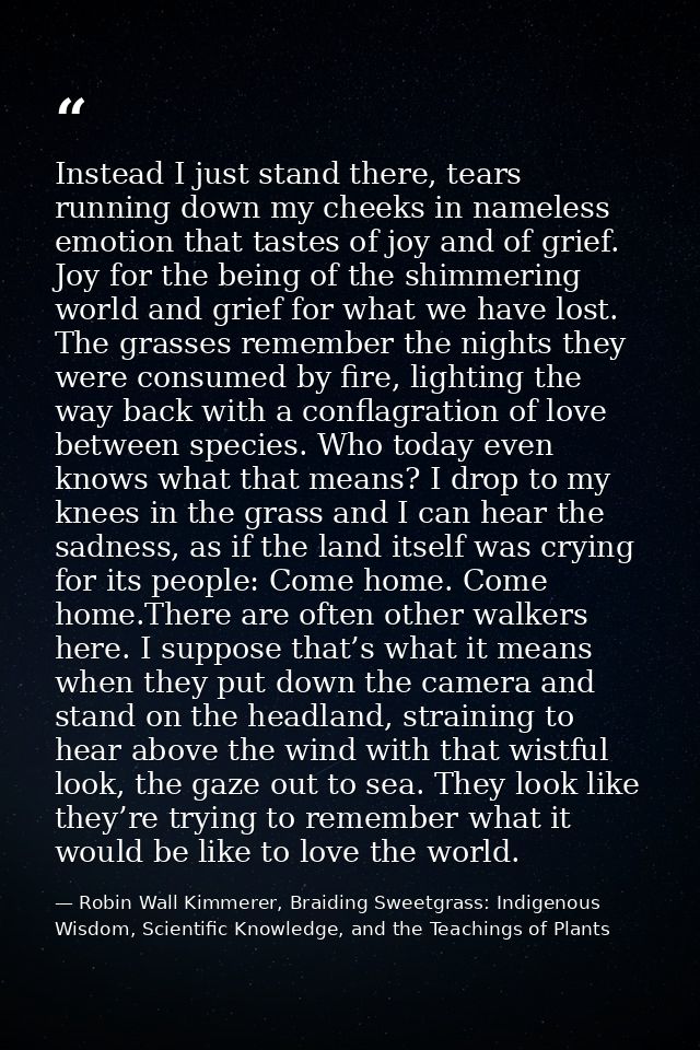 Instead I just stand there, tears running down my cheeks in nameless emotion that tastes of joy and of grief. Joy for th — Robin Wall Kimmerer, Braiding Sweetgrass: Indigenous Wisdom, Scientific Knowledge, and the Teachings of Plants