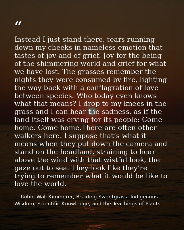 Instead I just stand there, tears running down my cheeks in nameless emotion that tastes of joy and of grief. Joy for th — Robin Wall Kimmerer, Braiding Sweetgrass: Indigenous Wisdom, Scientific Knowledge, and the Teachings of Plants