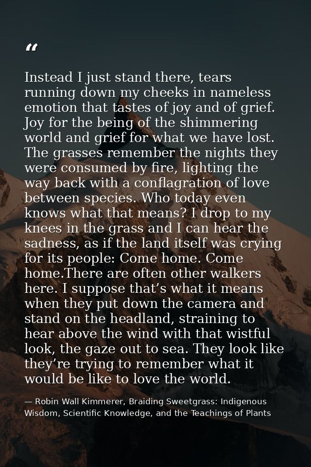 Instead I just stand there, tears running down my cheeks in nameless emotion that tastes of joy and of grief. Joy for th — Robin Wall Kimmerer, Braiding Sweetgrass: Indigenous Wisdom, Scientific Knowledge, and the Teachings of Plants
