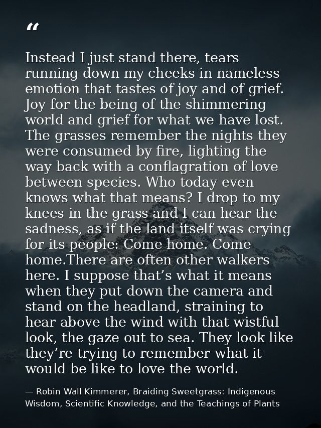 Instead I just stand there, tears running down my cheeks in nameless emotion that tastes of joy and of grief. Joy for th — Robin Wall Kimmerer, Braiding Sweetgrass: Indigenous Wisdom, Scientific Knowledge, and the Teachings of Plants