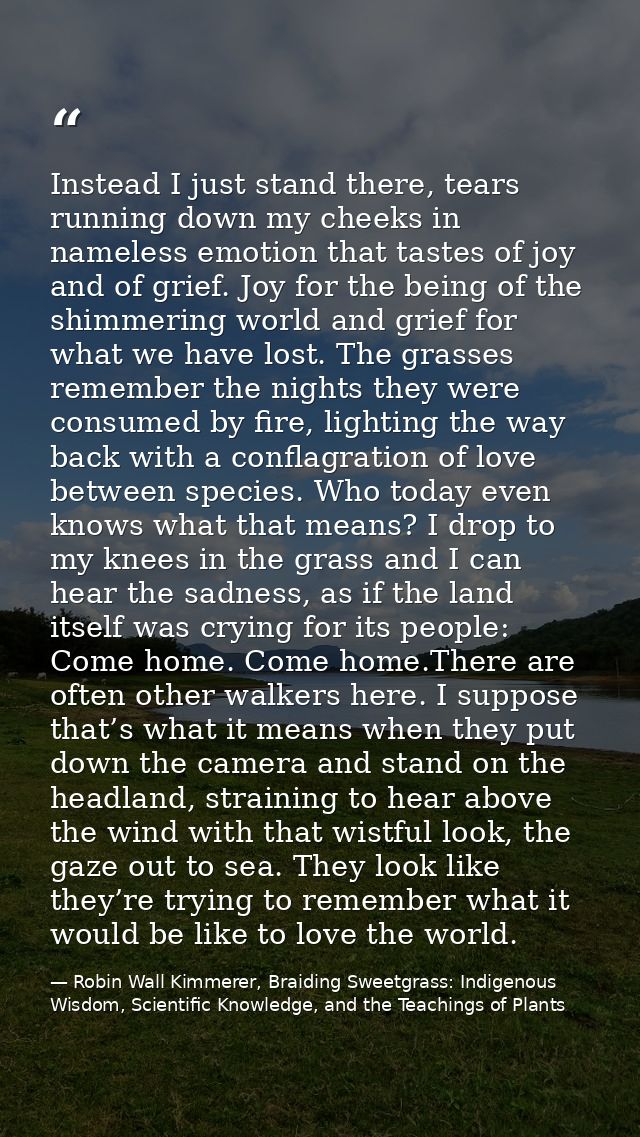Instead I just stand there, tears running down my cheeks in nameless emotion that tastes of joy and of grief. Joy for th — Robin Wall Kimmerer, Braiding Sweetgrass: Indigenous Wisdom, Scientific Knowledge, and the Teachings of Plants