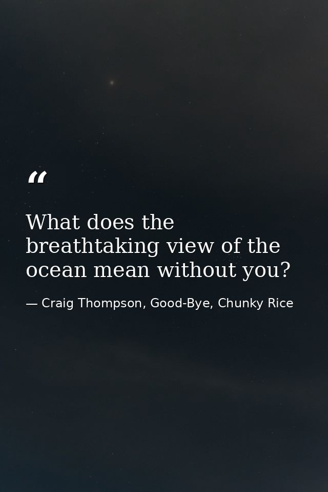 What does the breathtaking view of the ocean mean without you? — Craig Thompson, Good-Bye, Chunky Rice