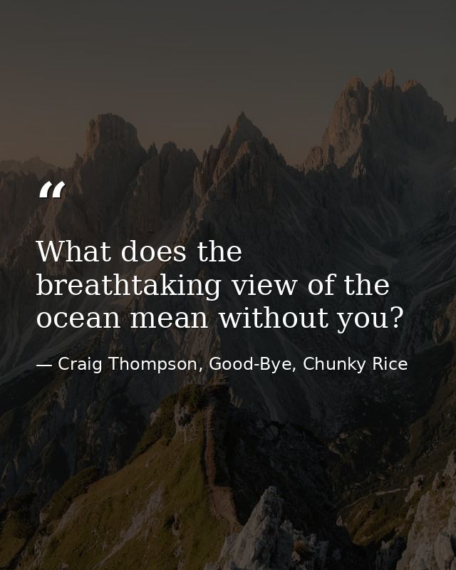What does the breathtaking view of the ocean mean without you? — Craig Thompson, Good-Bye, Chunky Rice