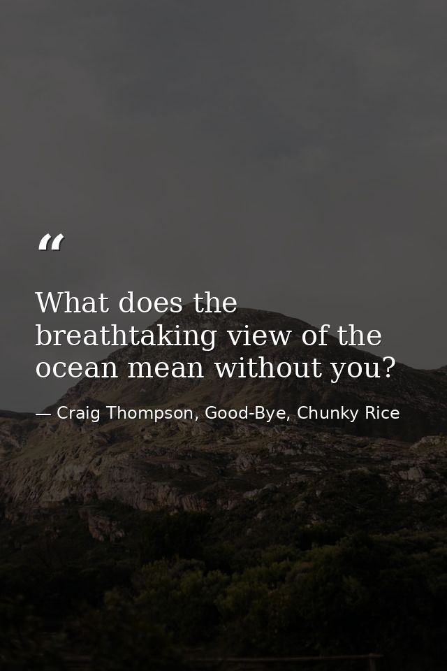 What does the breathtaking view of the ocean mean without you? — Craig Thompson, Good-Bye, Chunky Rice