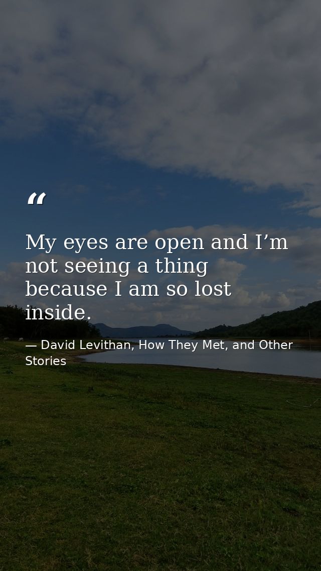 My eyes are open and I’m not seeing a thing because I am so lost inside. — David Levithan, How They Met, and Other Stories