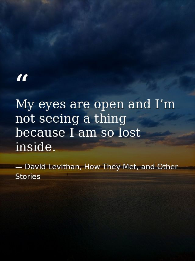 My eyes are open and I’m not seeing a thing because I am so lost inside. — David Levithan, How They Met, and Other Stories