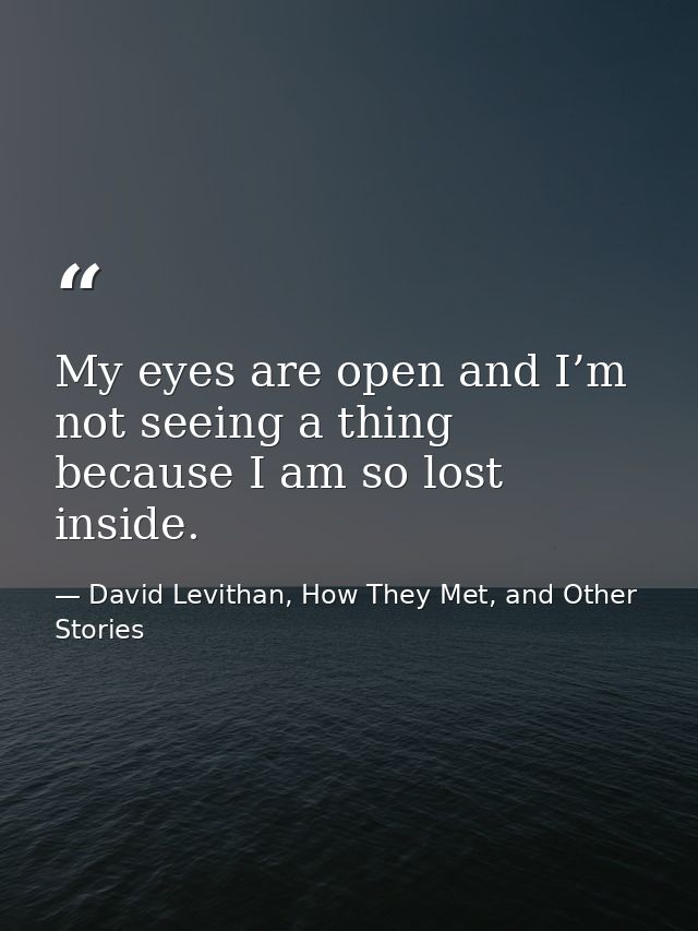 My eyes are open and I’m not seeing a thing because I am so lost inside. — David Levithan, How They Met, and Other Stories