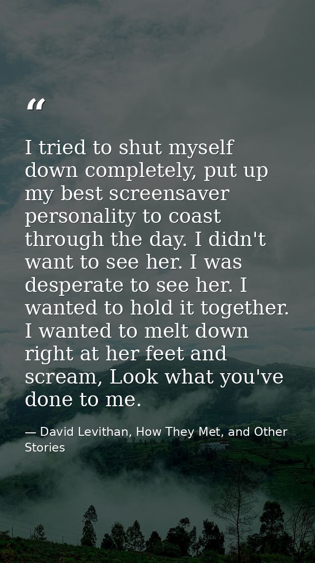 I tried to shut myself down completely, put up my best screensaver personality to coast through the day. I didn't want t — David Levithan, How They Met, and Other Stories