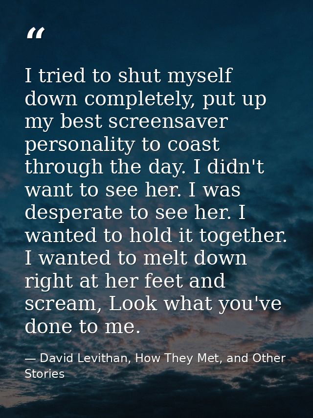 I tried to shut myself down completely, put up my best screensaver personality to coast through the day. I didn't want t — David Levithan, How They Met, and Other Stories