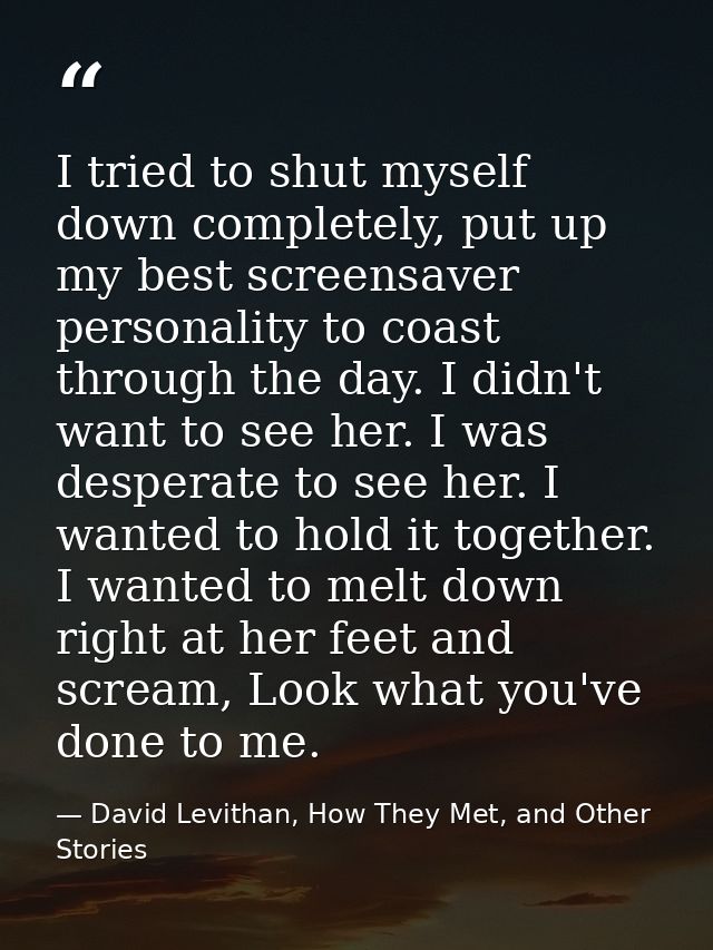 I tried to shut myself down completely, put up my best screensaver personality to coast through the day. I didn't want t — David Levithan, How They Met, and Other Stories