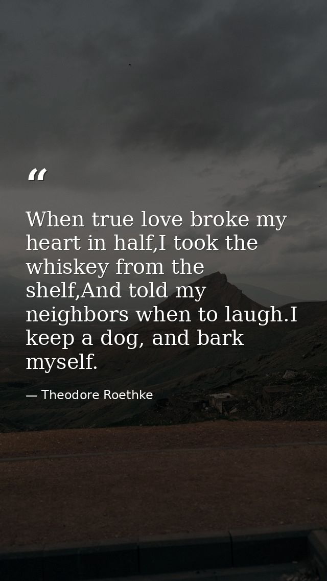 When true love broke my heart in half,I took the whiskey from the shelf,And told my neighbors when to laugh.I keep a dog — Theodore Roethke