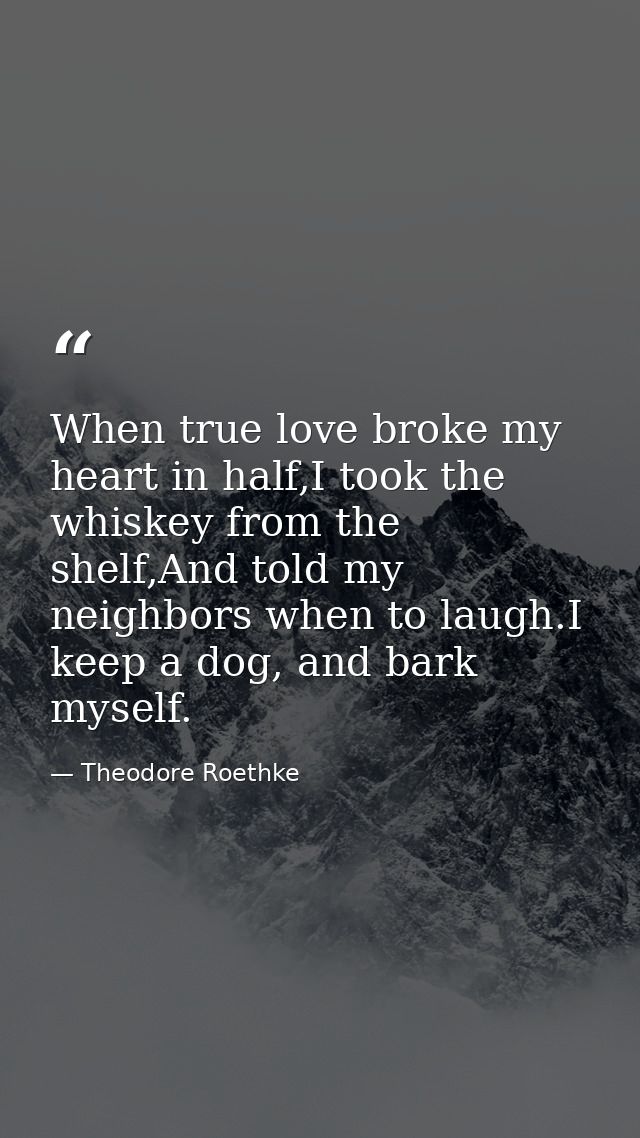 When true love broke my heart in half,I took the whiskey from the shelf,And told my neighbors when to laugh.I keep a dog — Theodore Roethke