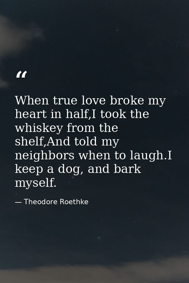 When true love broke my heart in half,I took the whiskey from the shelf,And told my neighbors when to laugh.I keep a dog — Theodore Roethke