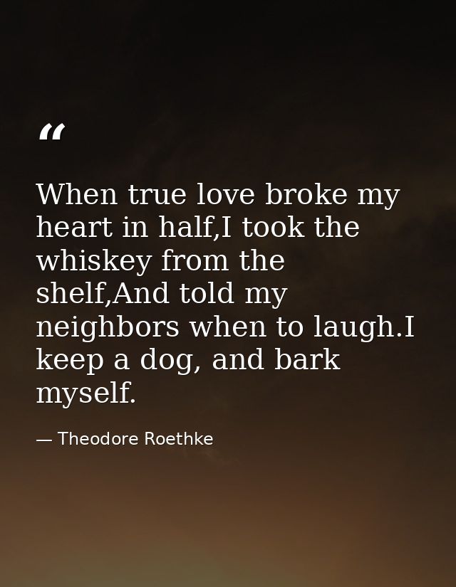 When true love broke my heart in half,I took the whiskey from the shelf,And told my neighbors when to laugh.I keep a dog — Theodore Roethke