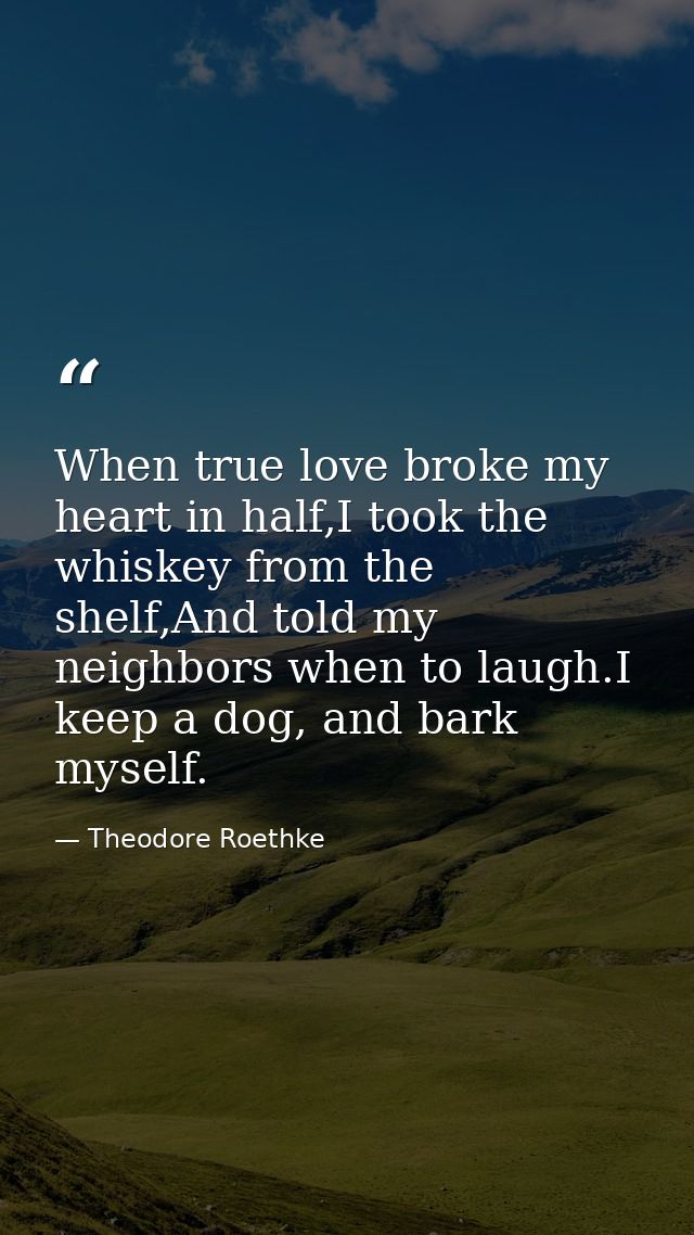 When true love broke my heart in half,I took the whiskey from the shelf,And told my neighbors when to laugh.I keep a dog — Theodore Roethke
