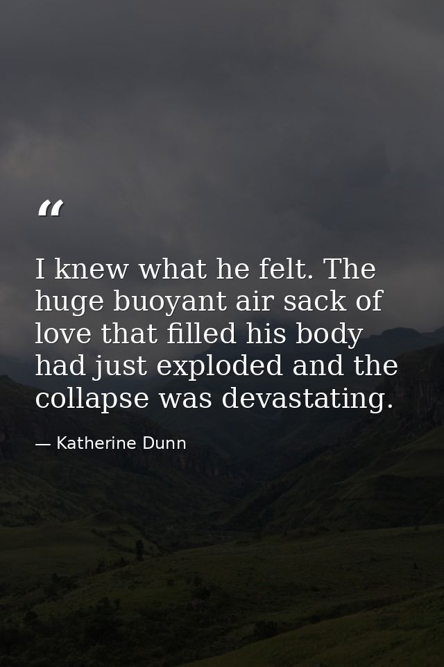I knew what he felt. The huge buoyant air sack of love that filled his body had just exploded and the collapse was devas — Katherine Dunn