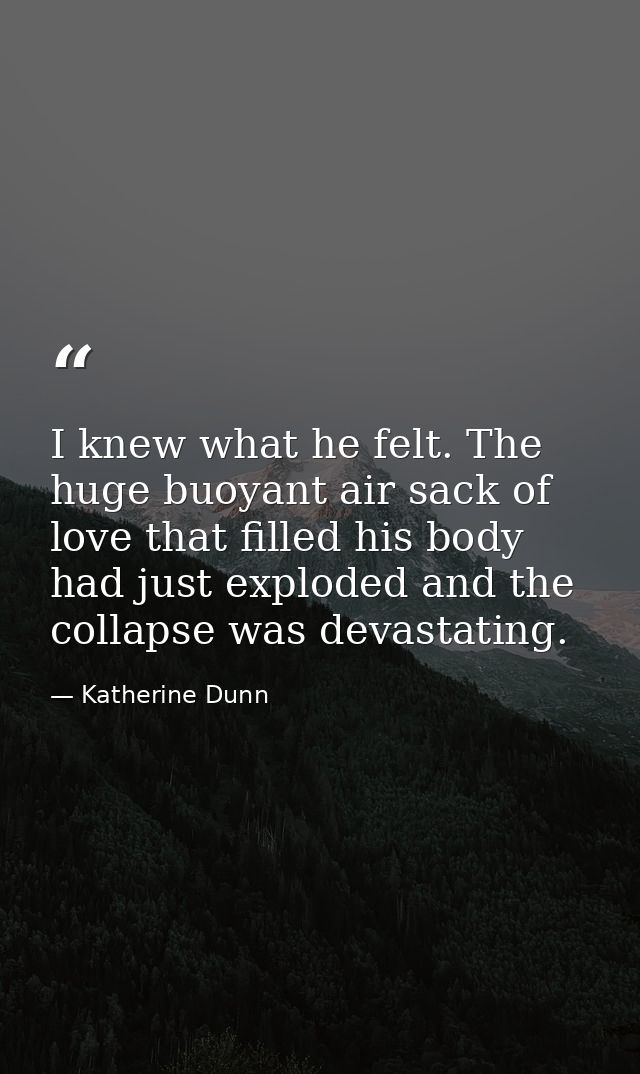 I knew what he felt. The huge buoyant air sack of love that filled his body had just exploded and the collapse was devas — Katherine Dunn