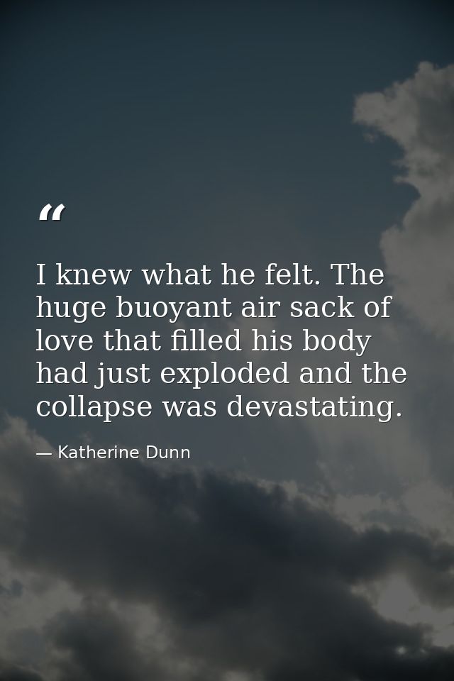 I knew what he felt. The huge buoyant air sack of love that filled his body had just exploded and the collapse was devas — Katherine Dunn