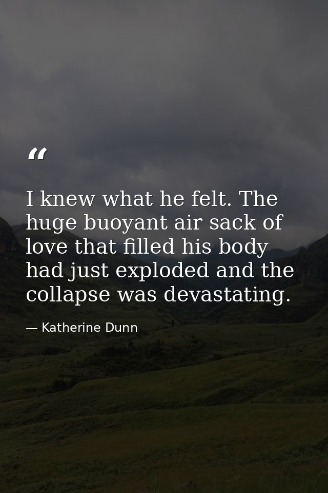 I knew what he felt. The huge buoyant air sack of love that filled his body had just exploded and the collapse was devas — Katherine Dunn