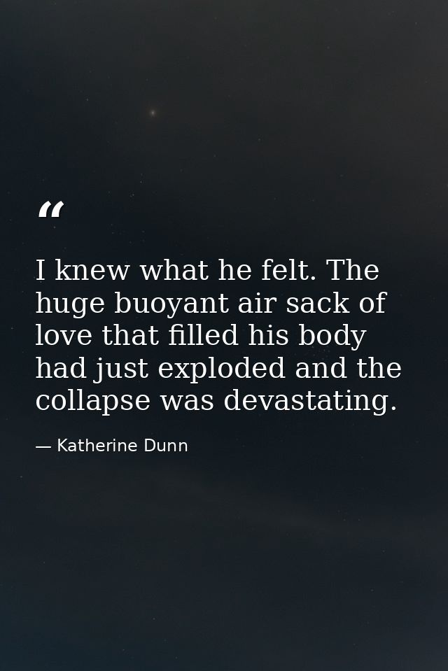 I knew what he felt. The huge buoyant air sack of love that filled his body had just exploded and the collapse was devas — Katherine Dunn