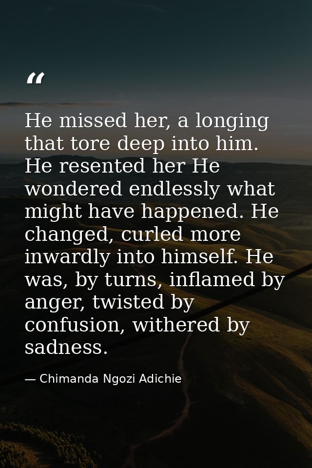He missed her, a longing that tore deep into him. He resented her He wondered endlessly what might have happened. He cha — Chimanda Ngozi Adichie