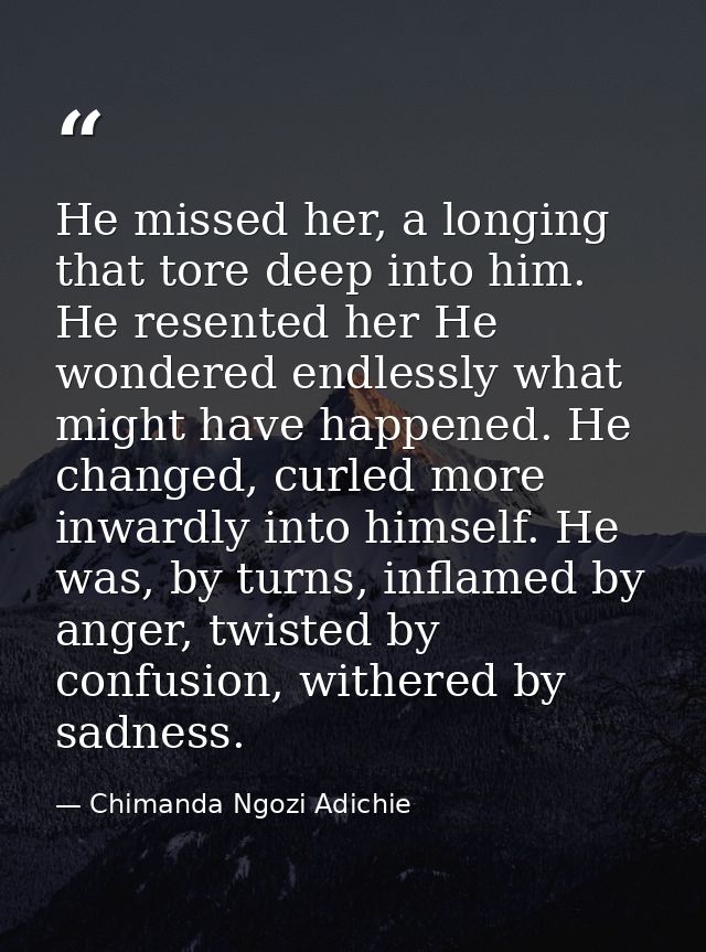 He missed her, a longing that tore deep into him. He resented her He wondered endlessly what might have happened. He cha — Chimanda Ngozi Adichie