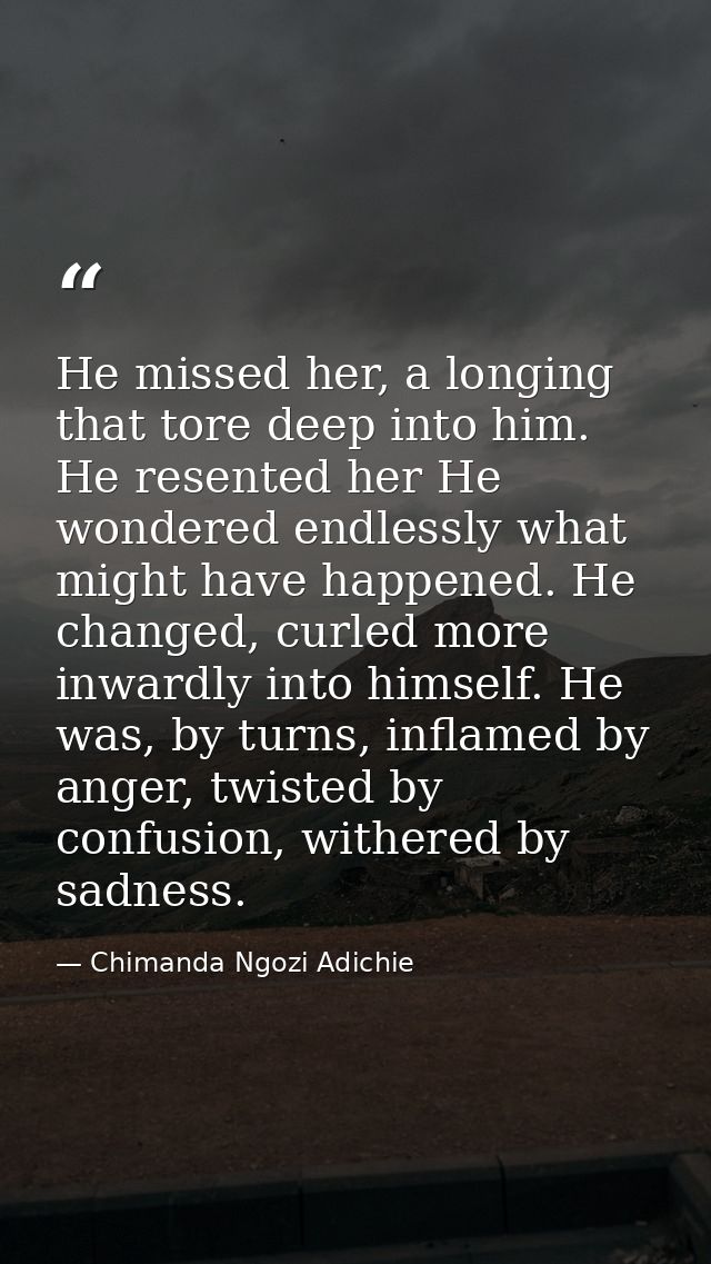 He missed her, a longing that tore deep into him. He resented her He wondered endlessly what might have happened. He cha — Chimanda Ngozi Adichie
