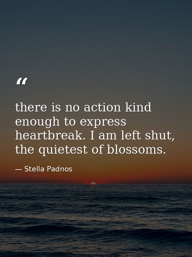 there is no action kind enough to express heartbreak. I am left shut, the quietest of blossoms. — Stella Padnos