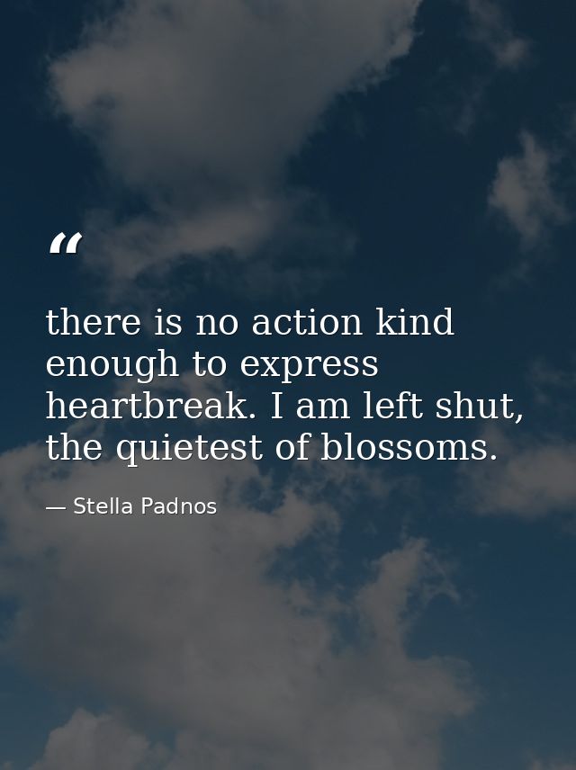 there is no action kind enough to express heartbreak. I am left shut, the quietest of blossoms. — Stella Padnos