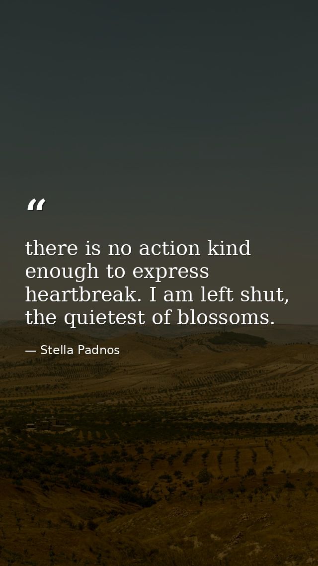 there is no action kind enough to express heartbreak. I am left shut, the quietest of blossoms. — Stella Padnos