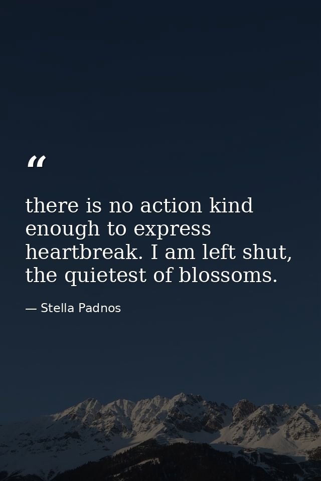 there is no action kind enough to express heartbreak. I am left shut, the quietest of blossoms. — Stella Padnos