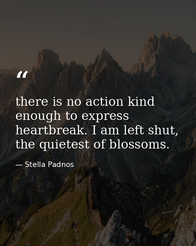there is no action kind enough to express heartbreak. I am left shut, the quietest of blossoms. — Stella Padnos