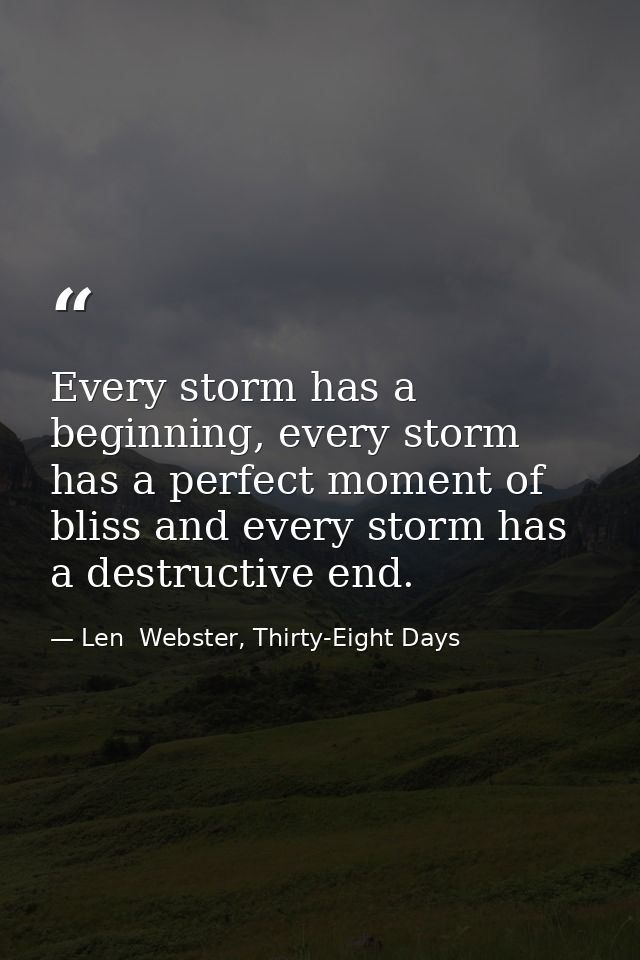 Every storm has a beginning, every storm has a perfect moment of bliss and every storm has a destructive end. — Len  Webster, Thirty-Eight Days