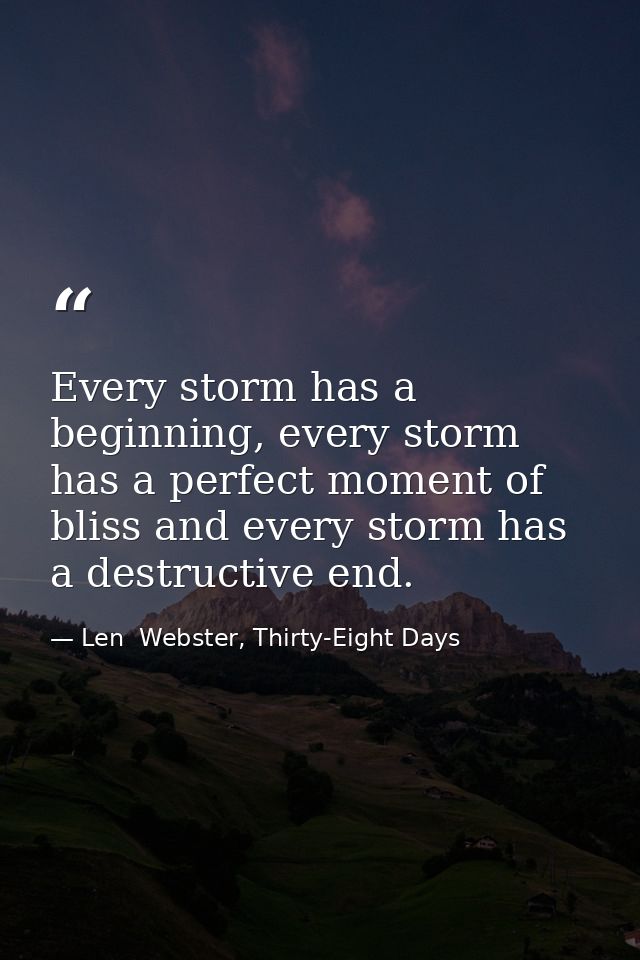 Every storm has a beginning, every storm has a perfect moment of bliss and every storm has a destructive end. — Len  Webster, Thirty-Eight Days