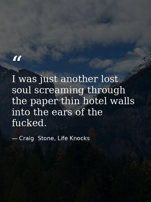 I was just another lost soul screaming through the paper thin hotel walls into the ears of the fucked. — Craig  Stone, Life Knocks