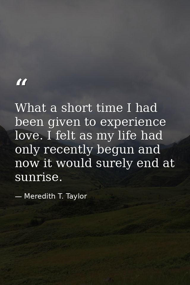 What a short time I had been given to experience love. I felt as my life had only recently begun and now it would surely — Meredith T. Taylor