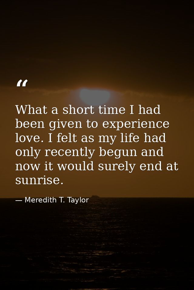 What a short time I had been given to experience love. I felt as my life had only recently begun and now it would surely — Meredith T. Taylor