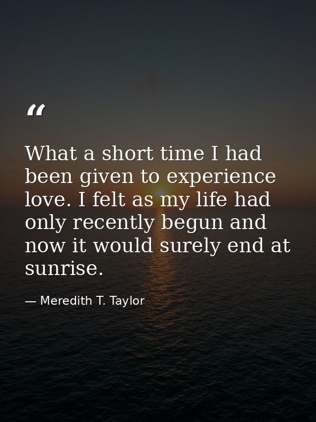 What a short time I had been given to experience love. I felt as my life had only recently begun and now it would surely — Meredith T. Taylor