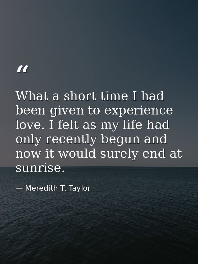 What a short time I had been given to experience love. I felt as my life had only recently begun and now it would surely — Meredith T. Taylor