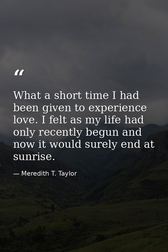 What a short time I had been given to experience love. I felt as my life had only recently begun and now it would surely — Meredith T. Taylor