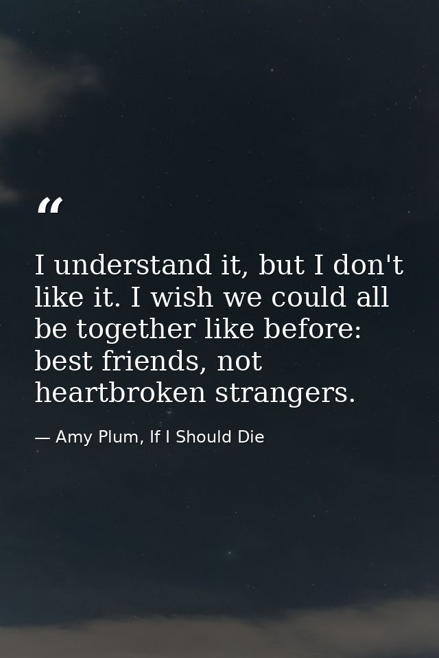 I understand it, but I don't like it. I wish we could all be together like before: best friends, not heartbroken strange — Amy Plum, If I Should Die