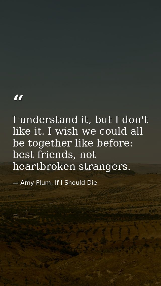 I understand it, but I don't like it. I wish we could all be together like before: best friends, not heartbroken strange — Amy Plum, If I Should Die