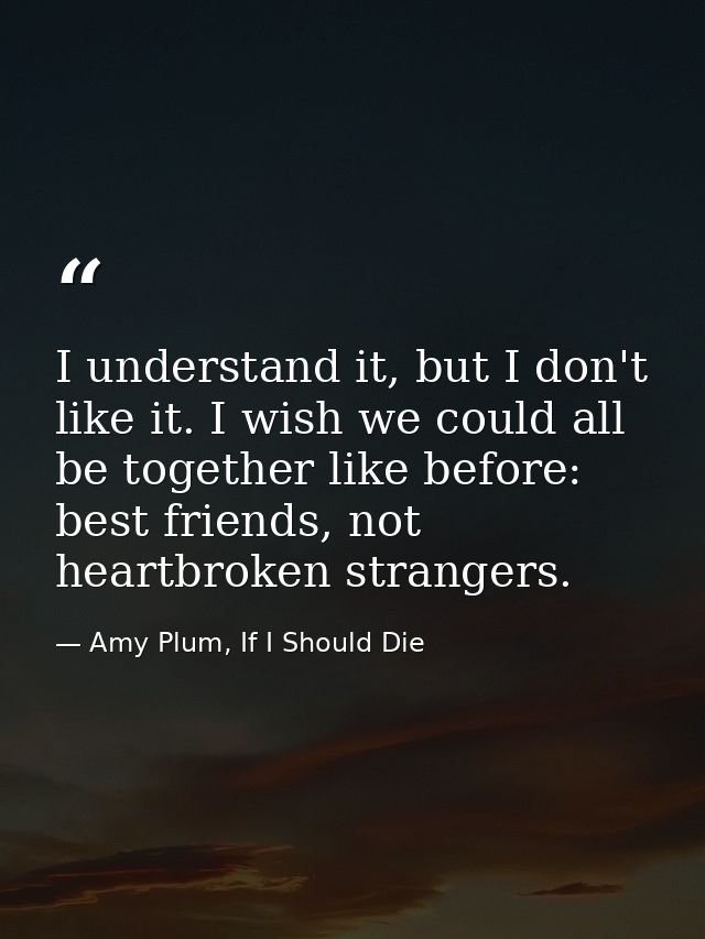 I understand it, but I don't like it. I wish we could all be together like before: best friends, not heartbroken strange — Amy Plum, If I Should Die