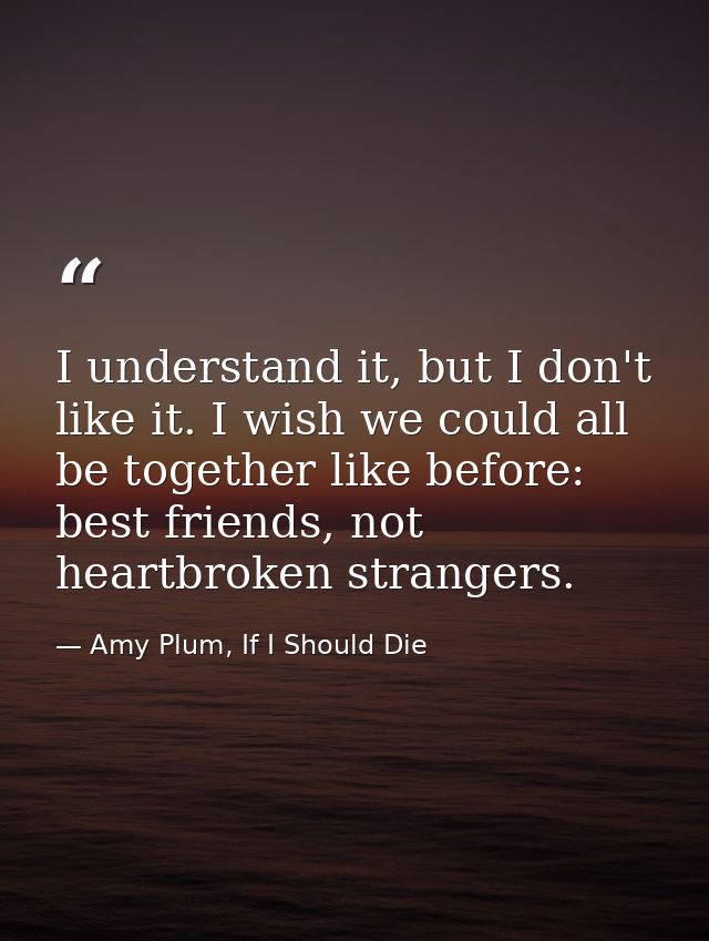 I understand it, but I don't like it. I wish we could all be together like before: best friends, not heartbroken strange — Amy Plum, If I Should Die