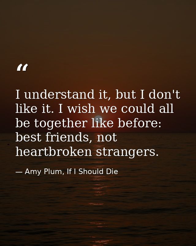 I understand it, but I don't like it. I wish we could all be together like before: best friends, not heartbroken strange — Amy Plum, If I Should Die